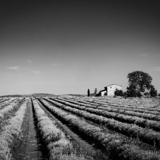Near Valensoles, France